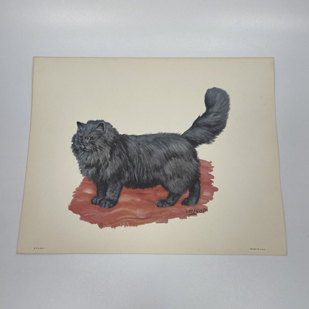 Vintage Ole Larsen Vintage Cat Print 11”x14 P.D. & Co. USA Print Black Persian